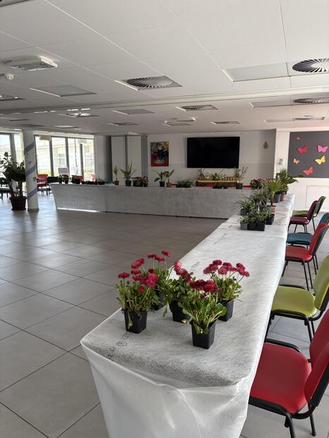 serre-cavalier-ehpad-troc-plantes-mars-2025