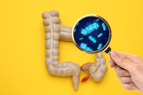 illustration colon rectum